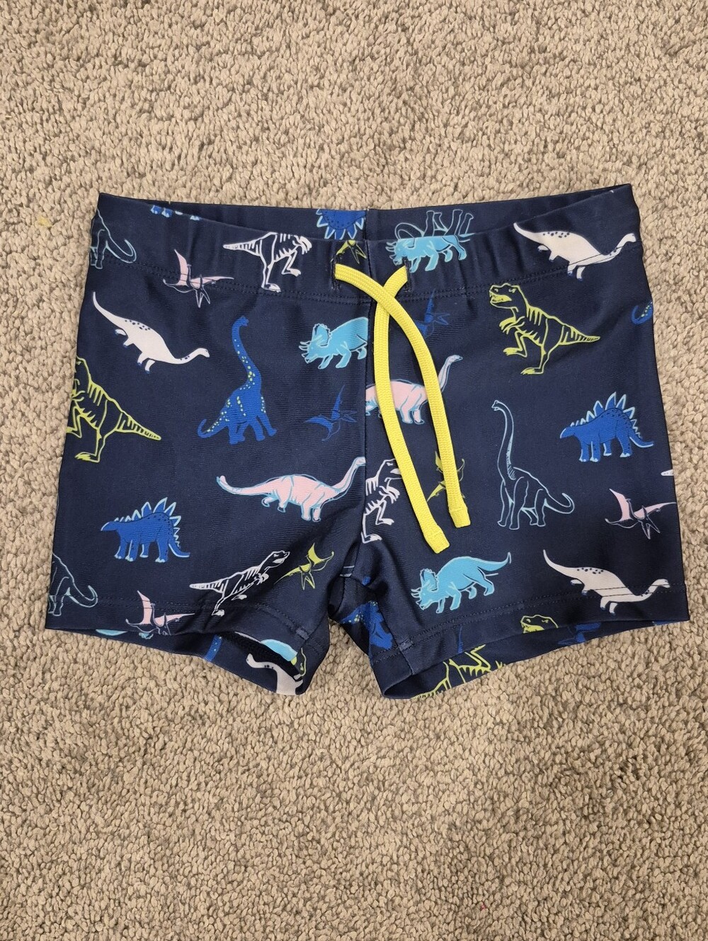 H&M Dinosaur Swim Shorts
